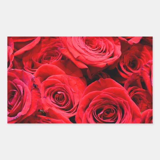 Sticker Rectangulaire Roses rouges fleurs florales rouges (Devant)
