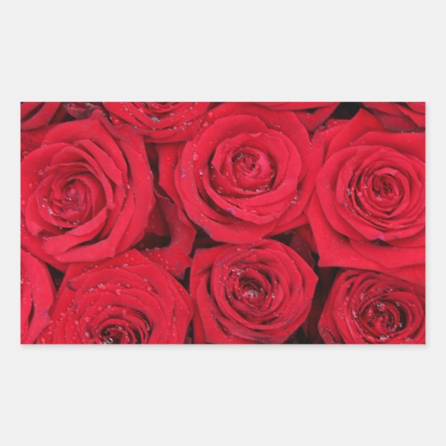 Sticker Rectangulaire Roses rouges par Therosegarden (Devant)