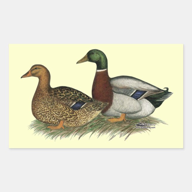 Sticker Rectangulaire Rouen Ducks (Devant)