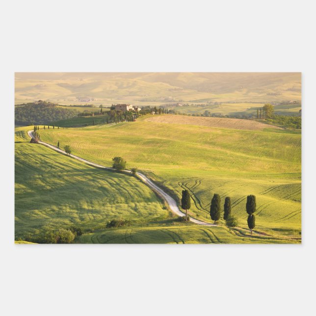 Sticker Rectangulaire Route blanche dans le rectangle de paysage toscan (Devant)