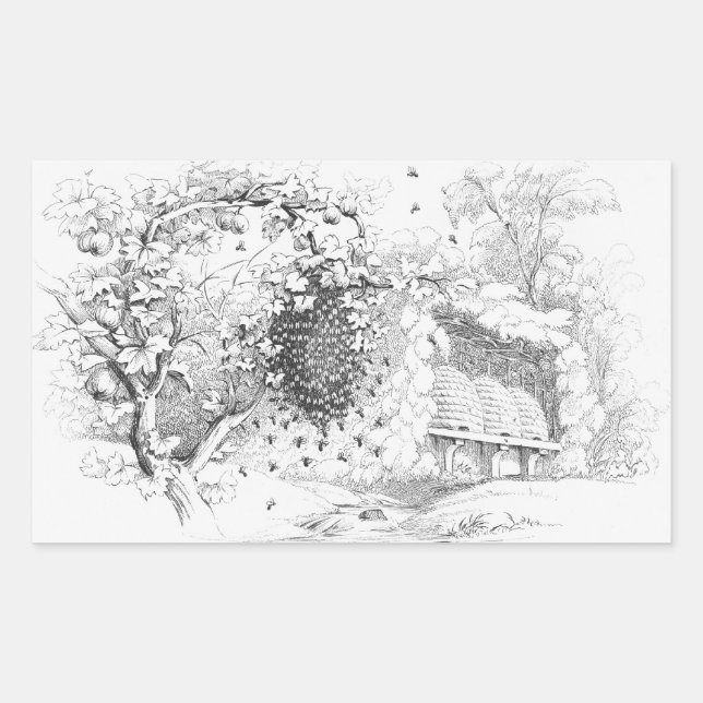 Sticker Rectangulaire ruches d'abeilles vintages (Devant)