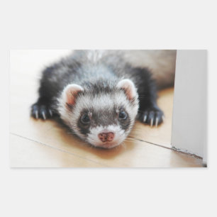 Sticker Rectangulaire Sable Ferret