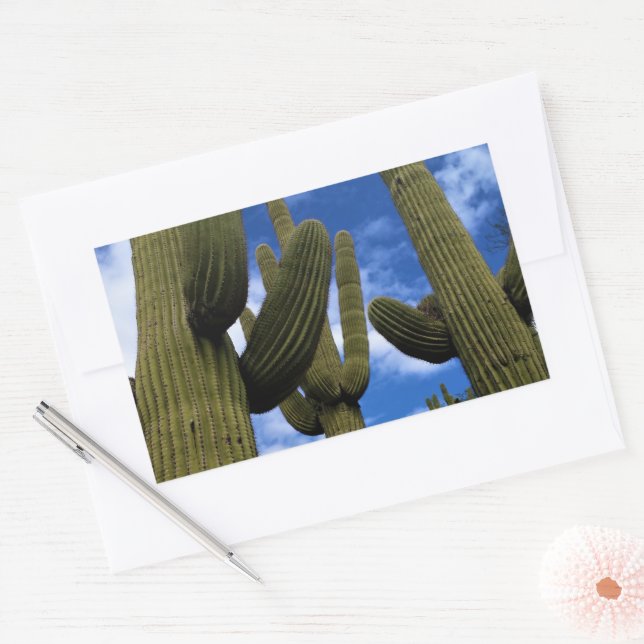 Sticker Rectangulaire Saguaro Cactus Trio / Blue Sky & Clouds / Arizona (Enveloppe)