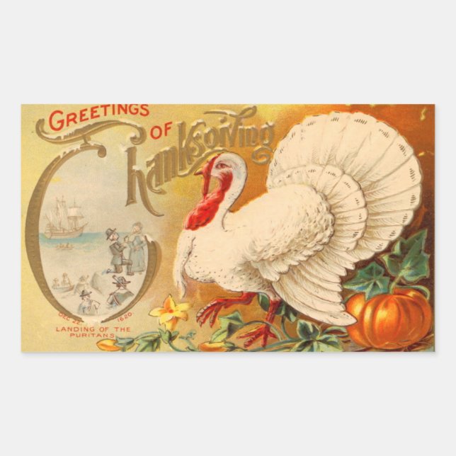 Sticker Rectangulaire Salutations de Thanksgiving White Turkey Vintage (Devant)