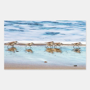 Sticker Rectangulaire Sanders Longeant La Plage