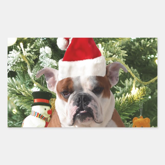 Sticker Rectangulaire Santa Hat Bulldog Christmas Tree Snowman boîte cad (Devant)