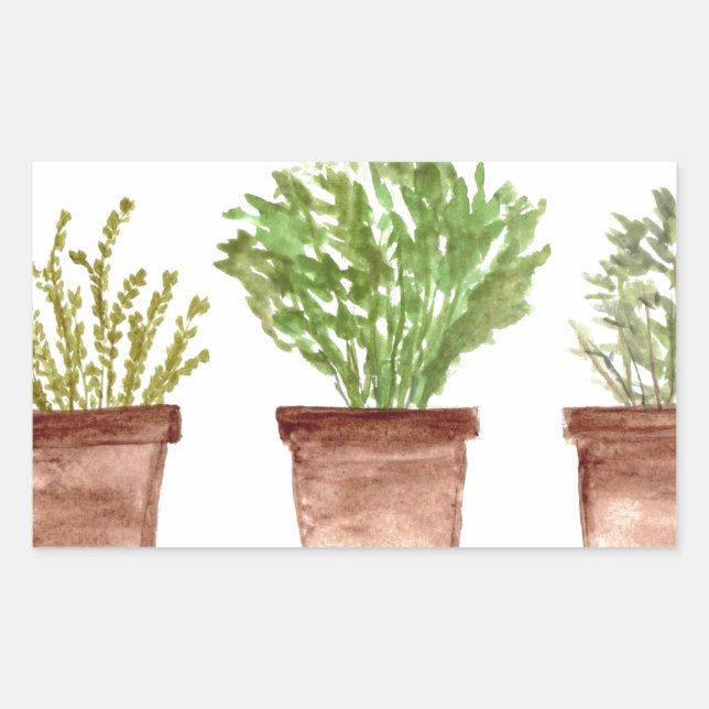 Sticker Rectangulaire Sauge aux herbes, romarin, thym (Devant)