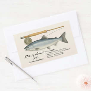 Sticker Rectangulaire Saumon cherry (Oncorhynchus masou – japonais