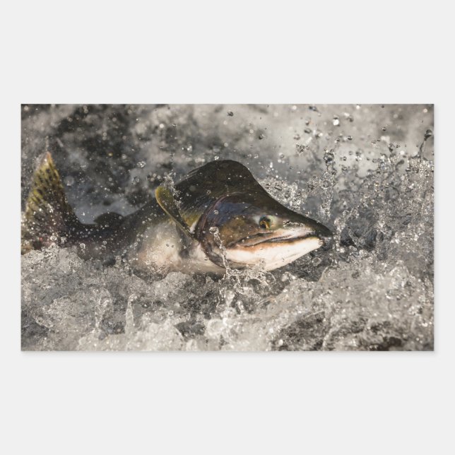 Sticker Rectangulaire Saumon de saut (Devant)