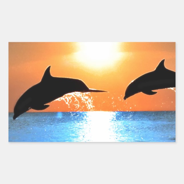 Sticker Rectangulaire Saut de dauphins (Devant)