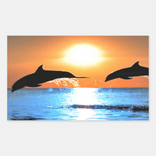 Sticker Rectangulaire Saut de dauphins