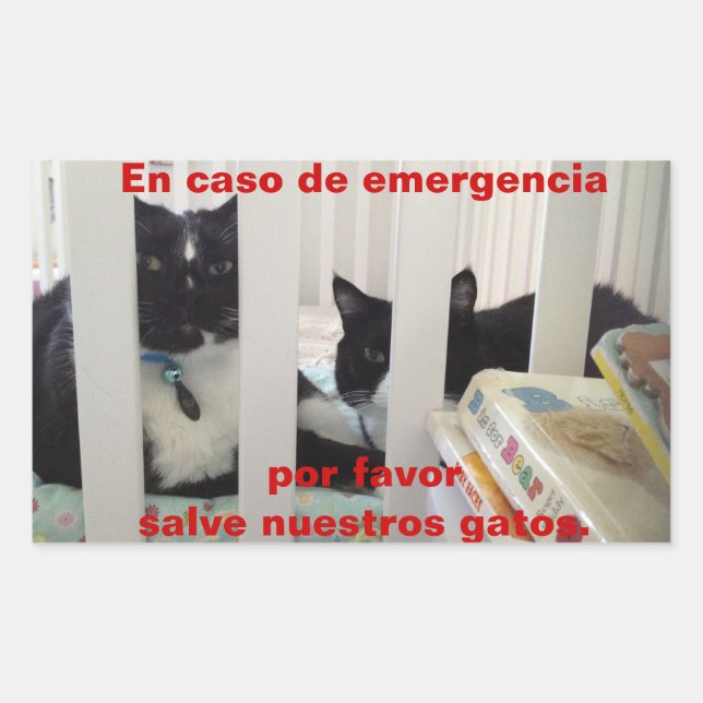 Sticker Rectangulaire Sauvez en cas d'urgence notre chat (Devant)