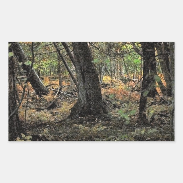 Sticker Rectangulaire Scène forestière automnale               (Devant)