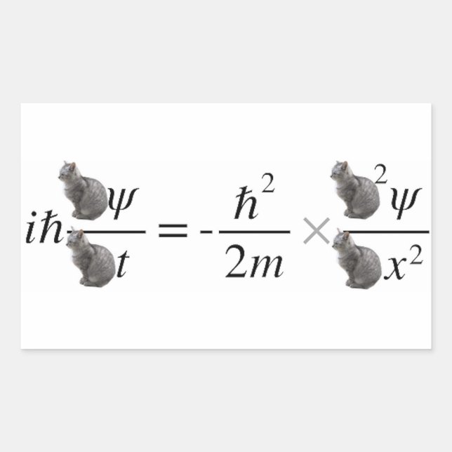 Sticker Rectangulaire Schrodinger's cat (Devant)