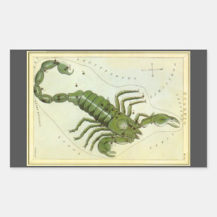 Sticker Rectangulaire Scorpio, le miroir de la constellation Vintage Ura