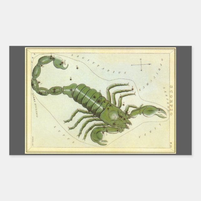 Sticker Rectangulaire Scorpion, Constellation Ancienne Urania's Mirror (Devant)