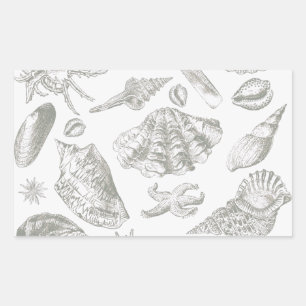 Sticker Rectangulaire Seashell Soft Antique Art Beach Shops