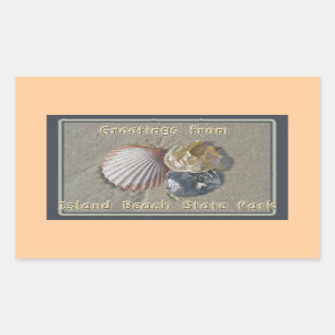 Sticker Rectangulaire Seashings Salutations De IBSP Seaside Park NJ