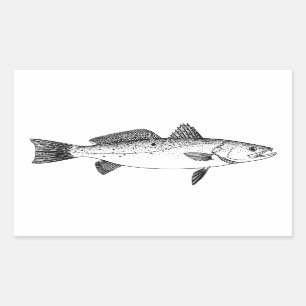 Sticker Rectangulaire Seatrout repéré - schéma vintage truite tachetée