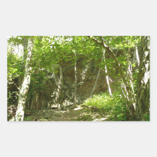 Sticker Rectangulaire Sentier de découverte de Frazier à Shenandoah Phot