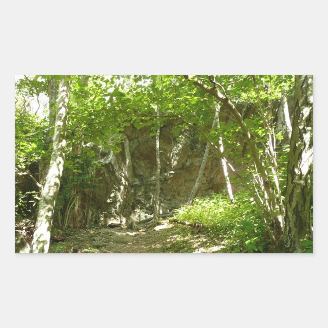 Sticker Rectangulaire Sentier de découverte de Frazier à Shenandoah Phot (Devant)