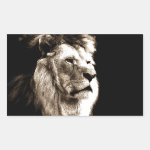Sticker Rectangulaire Sepia Lion
