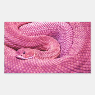 Sticker Rectangulaire Serpent à sonnettes rose de basilic
