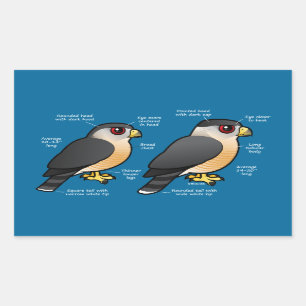 Sticker Rectangulaire Sharpie de la cage v