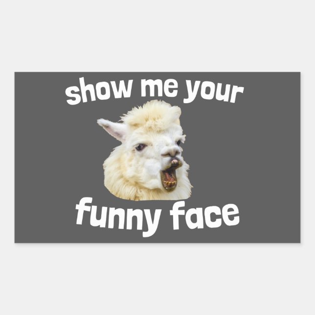 Sticker Rectangulaire Show me your funny face riant Alpaka Lama (Devant)