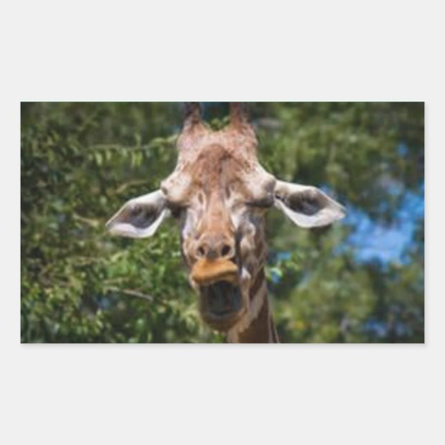 Sticker Rectangulaire Silly Giarffe (Devant)