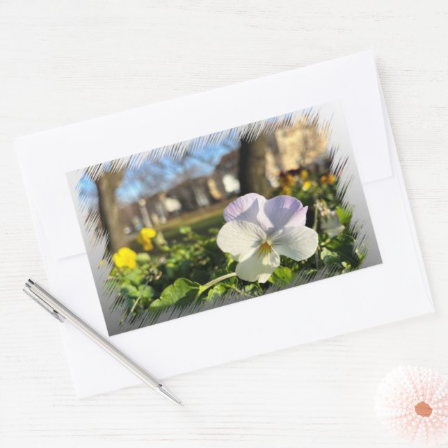 Sticker Rectangulaire Silver white pansy (Enveloppe)