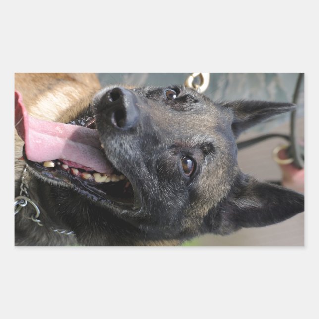 Sticker Rectangulaire Smiling (Devant)