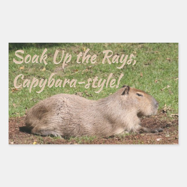 Sticker Rectangulaire Soak Up the Rays, à la Capybara ! (Devant)