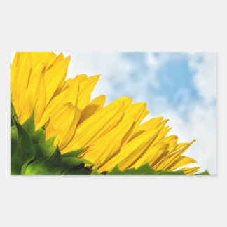 Sticker Rectangulaire soleil
