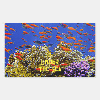 Sticker Rectangulaire Sous La Mer Coral Reef School Of Fish Blue Water