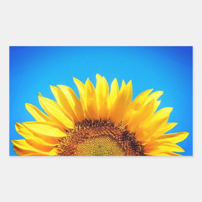 Sticker Rectangulaire Soutenez Ukraine bleu ciel jaune tournesol (Devant)