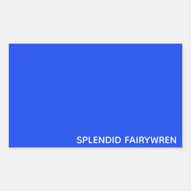 Sticker Rectangulaire Splendid Fairywren Blue Colour (Devant)