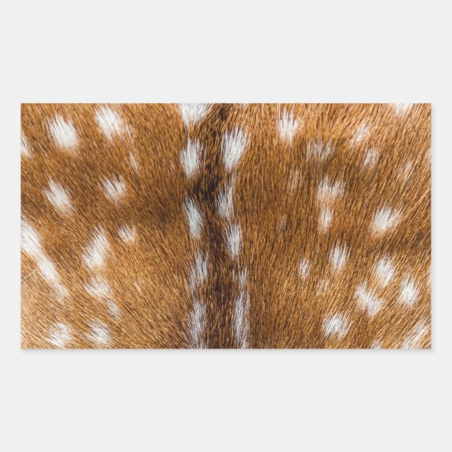 Sticker Rectangulaire Spotted deer pour texture (Devant)