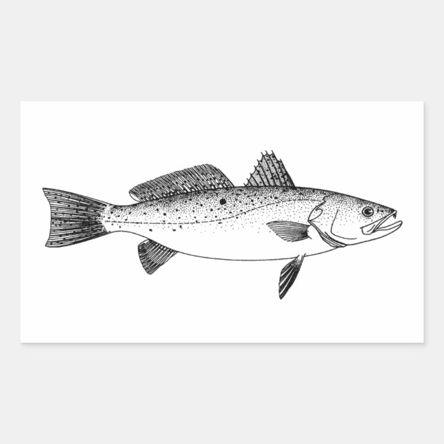 Sticker Rectangulaire Spotted Seatrout - truite mouchetée Vintage Line A (Devant)