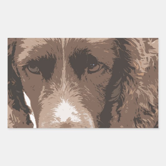 Sticker Rectangulaire Springer anglais (Devant)