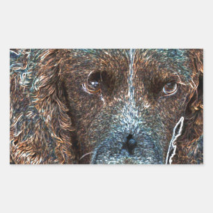 Sticker Rectangulaire Springer anglais