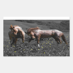 Sticker Rectangulaire Stallion Spar