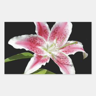 Sticker Rectangulaire Stargazer Lily