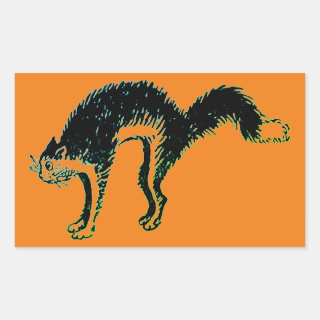 Sticker Rectangulaire Sticule Rectangle de chat noir Halloween (Devant)