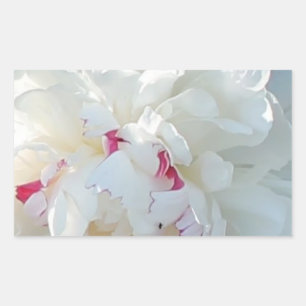 Sticker Rectangulaire Sticule Rectangle de pivoine romantique