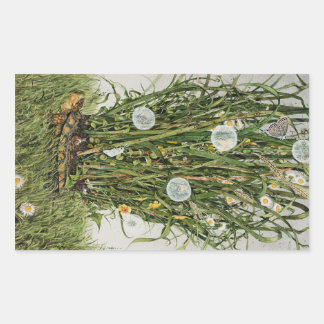 Sticker Rectangulaire Stray Sod