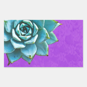 Sticker Rectangulaire Succulent Aquarelle Lace Violette