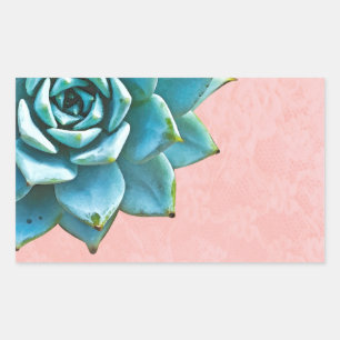 Sticker Rectangulaire Succulente dentelle rose aquarelle