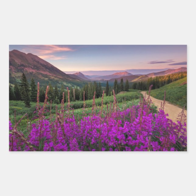 Sticker Rectangulaire Sunrise fleur sauvage | Butte de crête, Colorado (Devant)