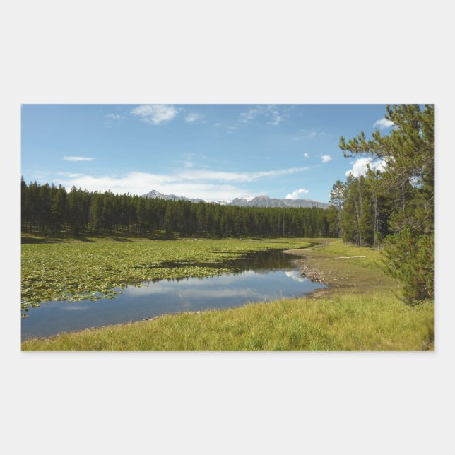 Sticker Rectangulaire Swan Lake I au Parc national de Grand Teton (Devant)